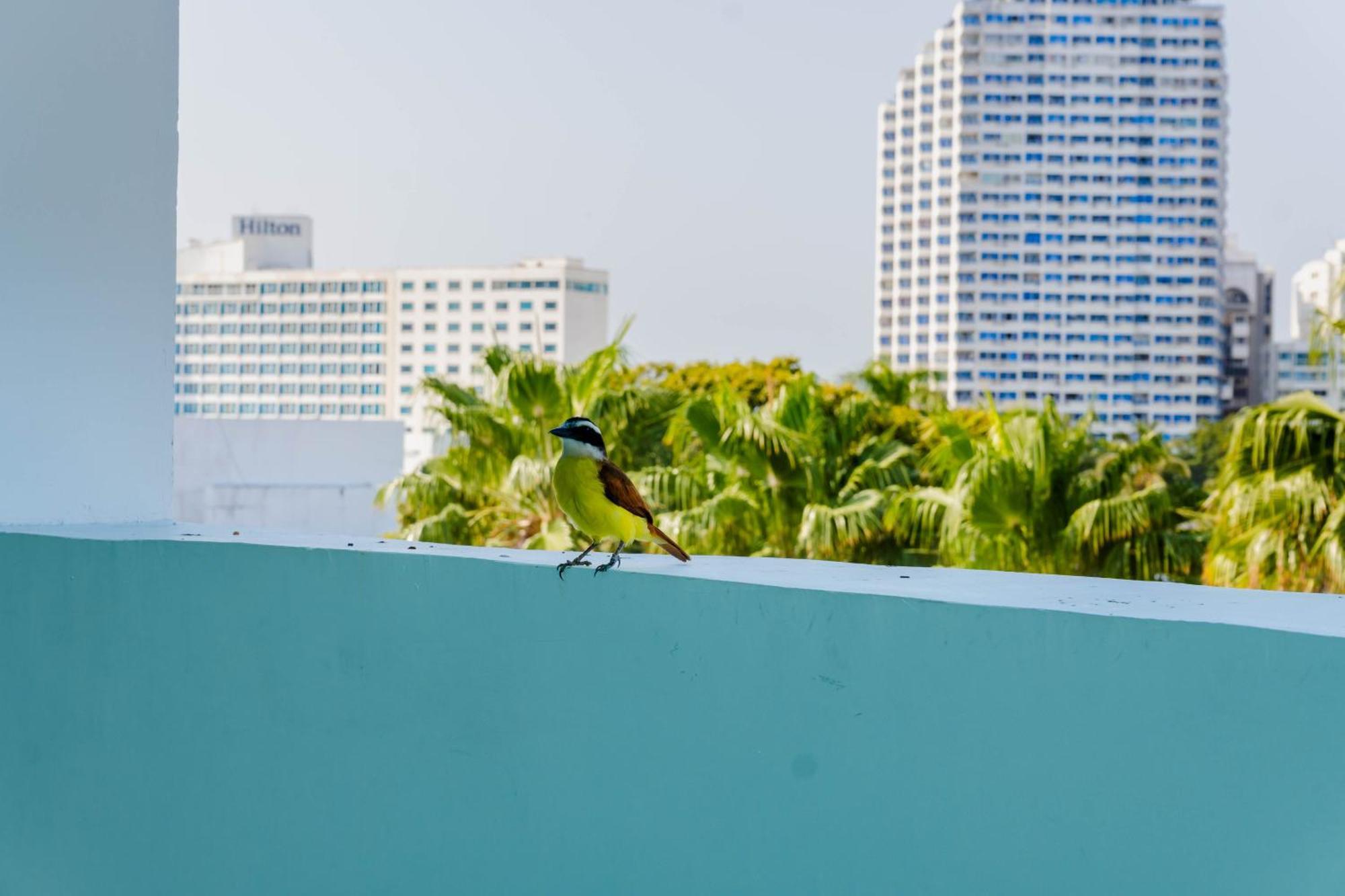 Hotel Coral Reef Kartagena Zewnętrze zdjęcie
